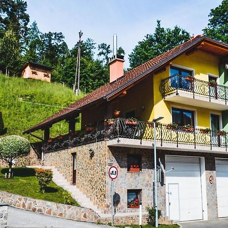Apartmaji Krebs Mezica Kültér fotó